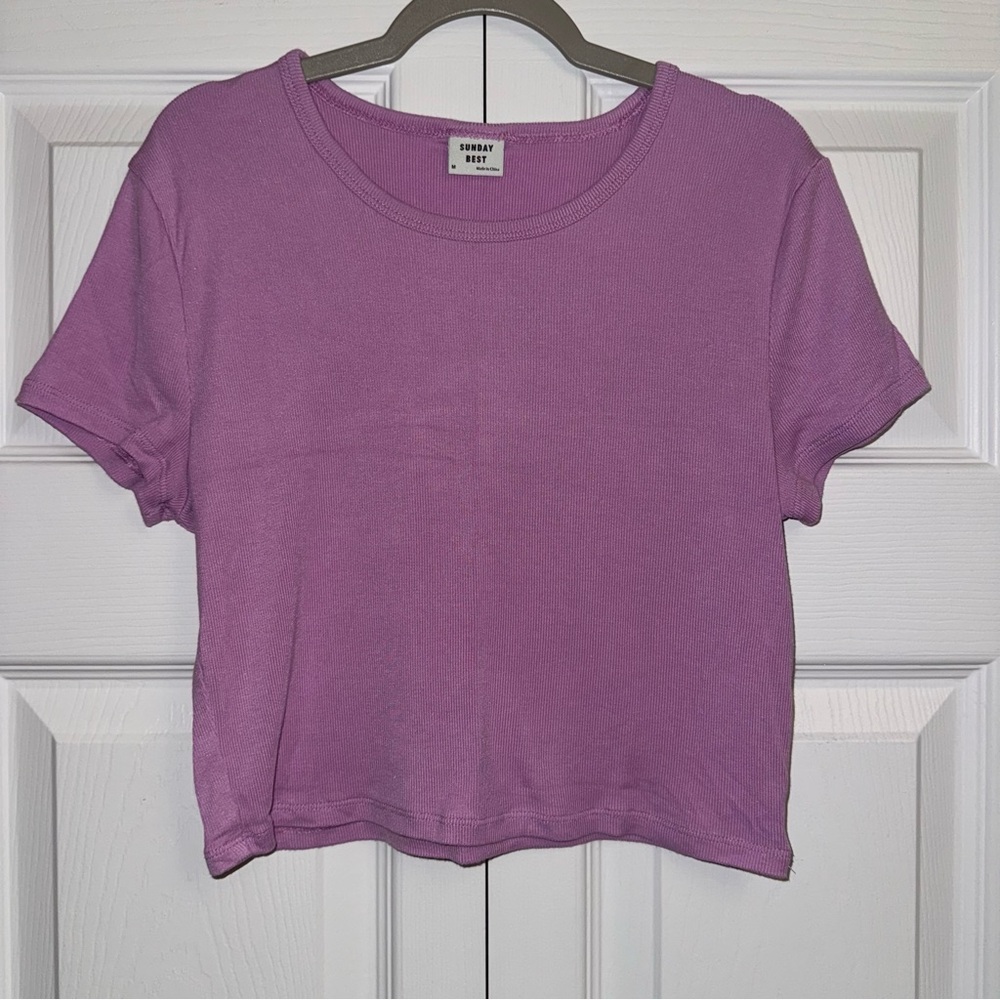 Aritzia Sunday Best Cropped T-Shirt